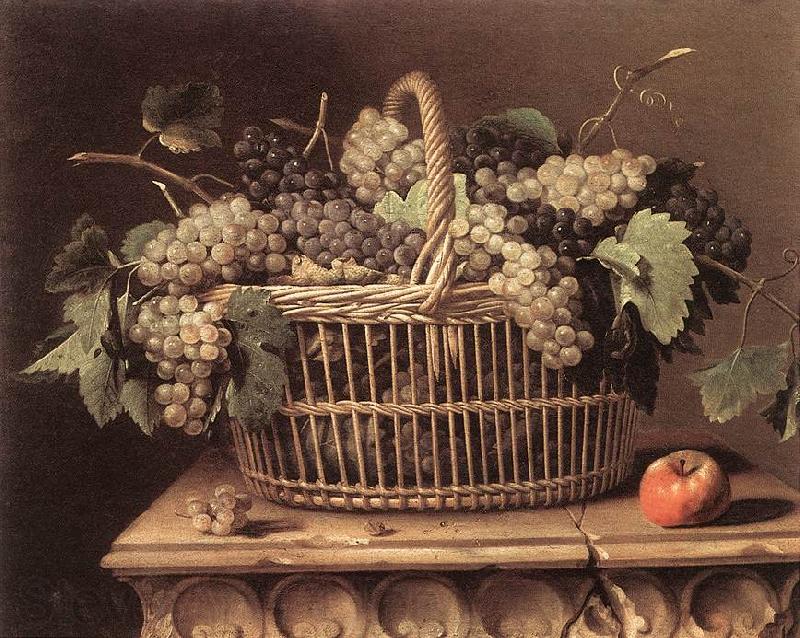 DUPUYS, Pierre Basket of Grapes dfg